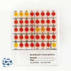 Galerie d'identification...